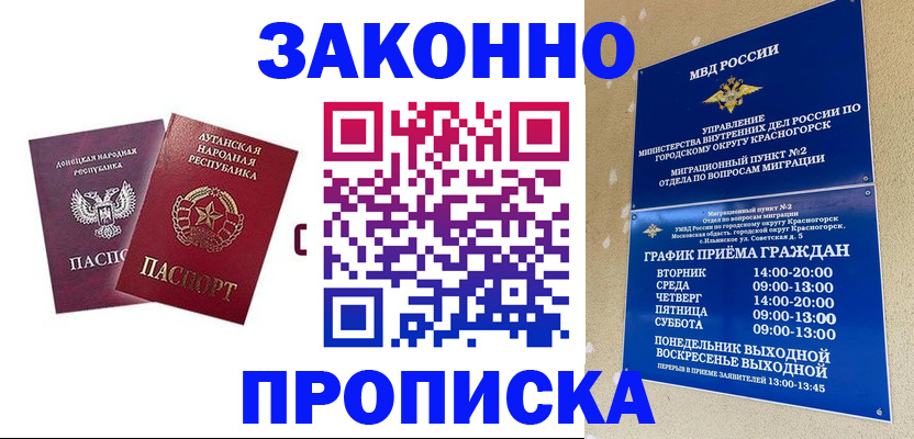 прописка в Черноголовке